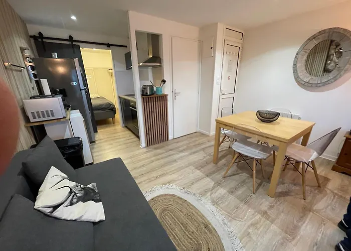 Appartement Avec Wifi Residence Les Sables Face Mer